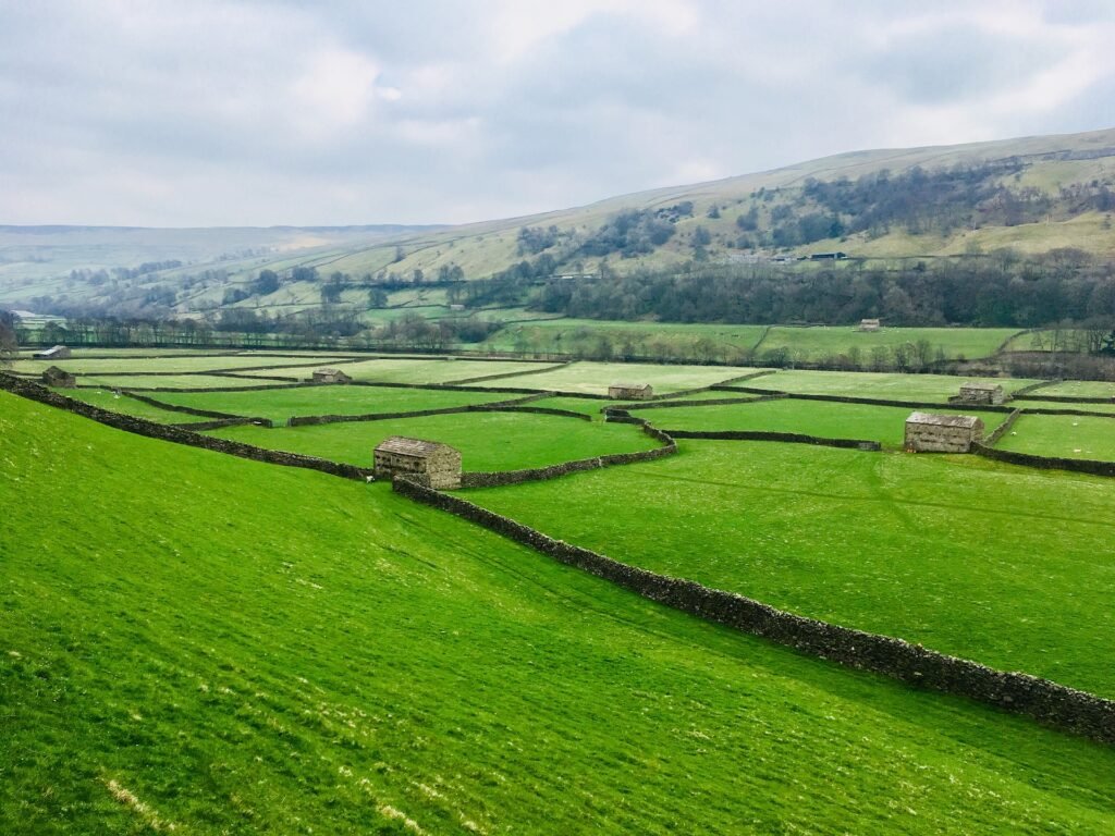 Can You Get a Mortgage on Land?